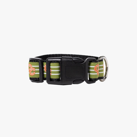 Concepts Clarity Woven Dog Collar (Green)