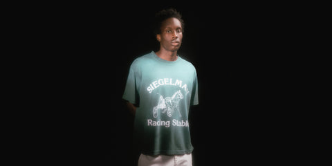 Introducing: CNCPTS for Siegelman Stable