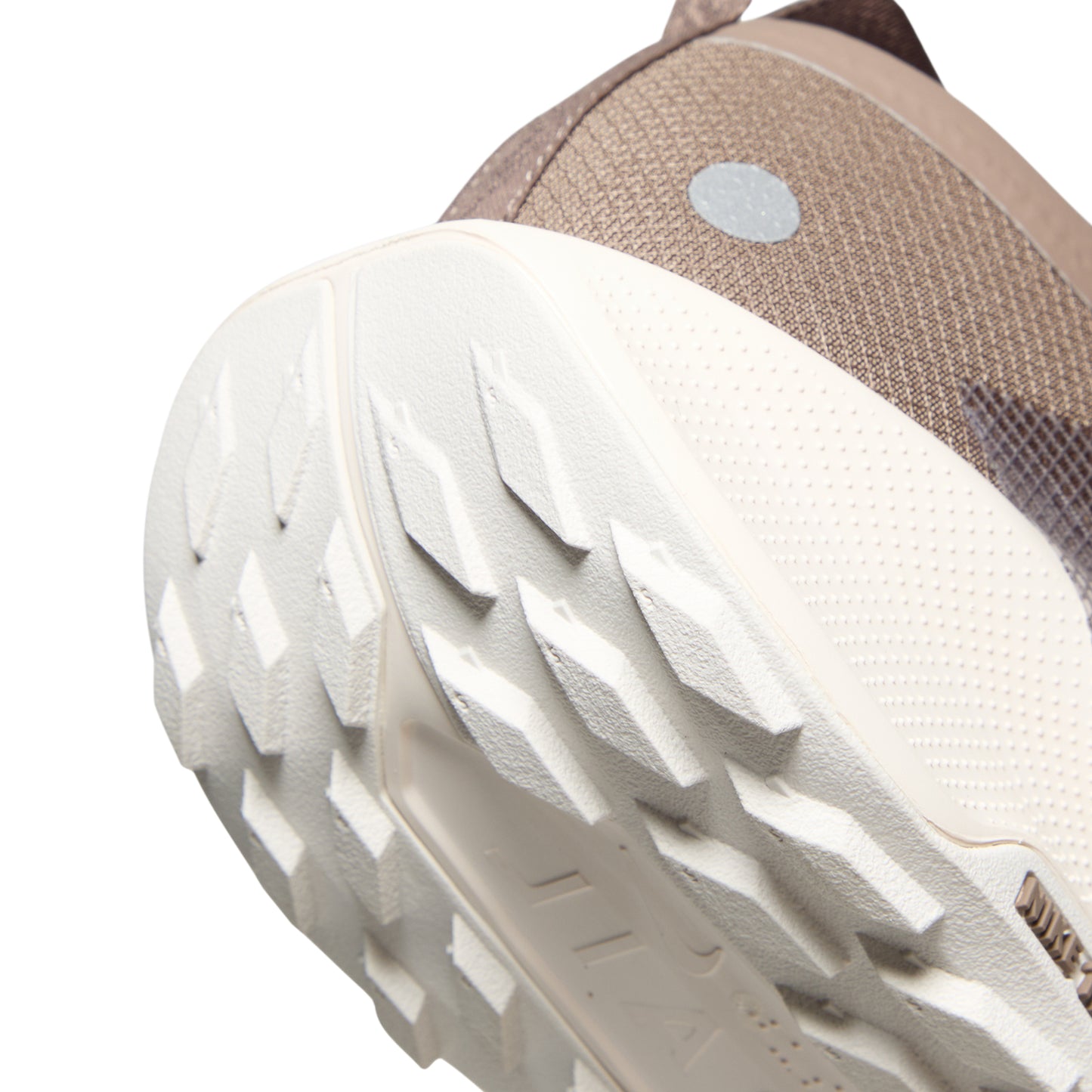 Nike Pegasus Trail 5 GORE-TEX SP (Mink Brown/Baroque Brown/Moon Particle)