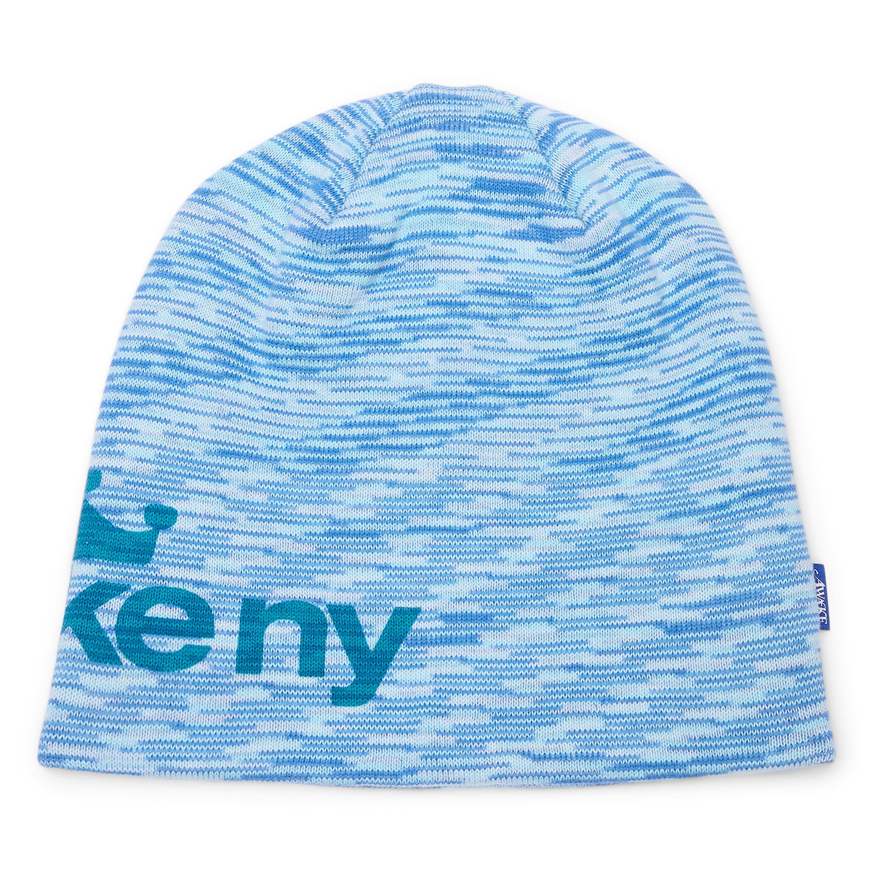 Awake NY Gradient Crown Logo Skully (Blue)