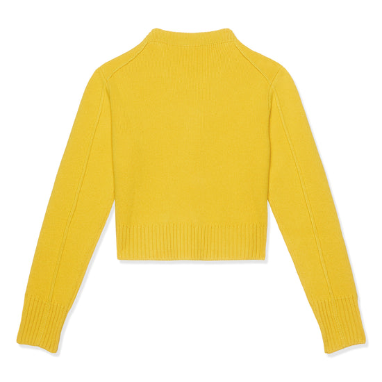 Lanvin Womens Crewneck Sweater (Sunflower)