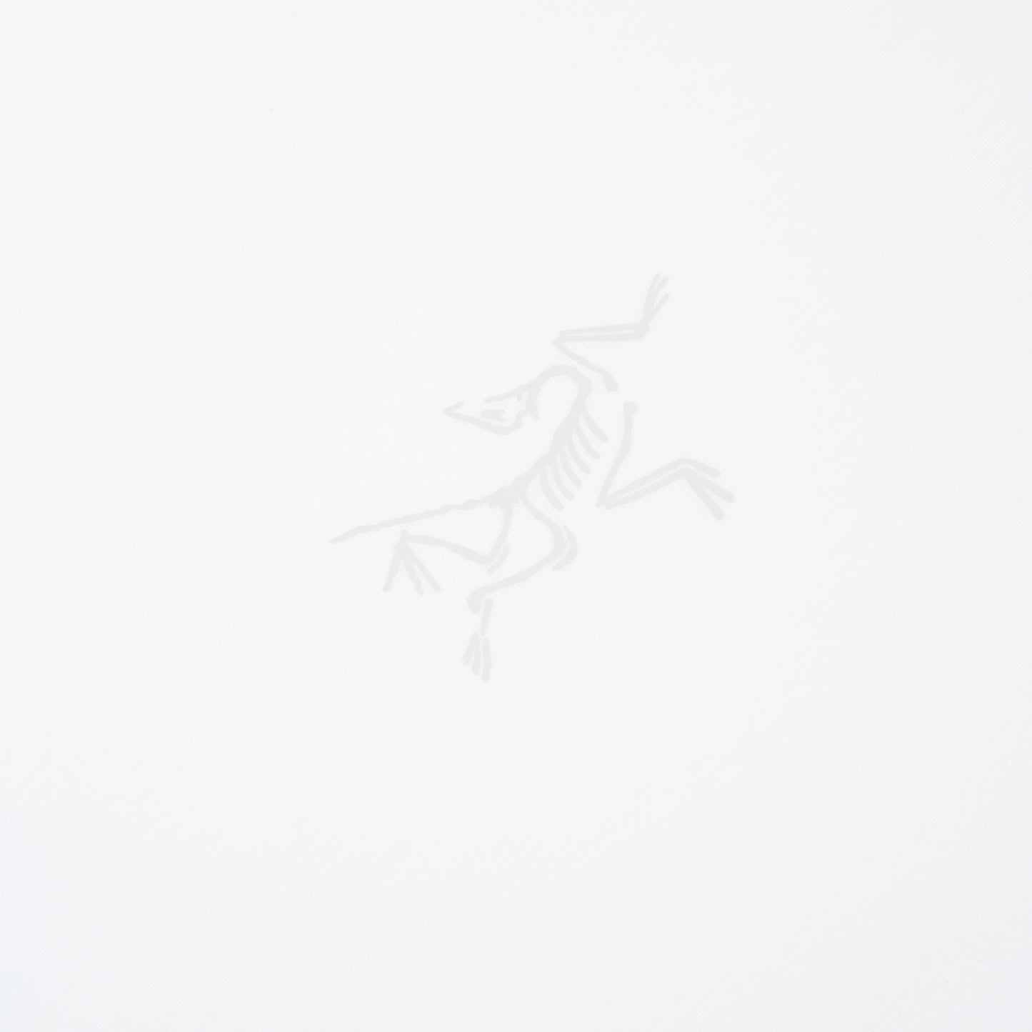 Arc'teryx Kragg SL Cotton SS M (White Light)