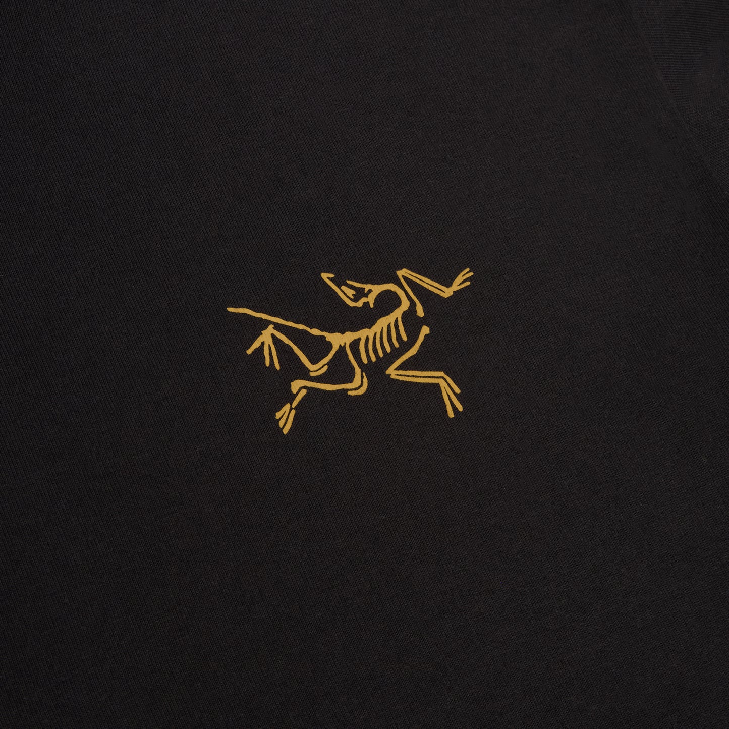 Arc'teryx Kragg Cotton LS M (24K Black)