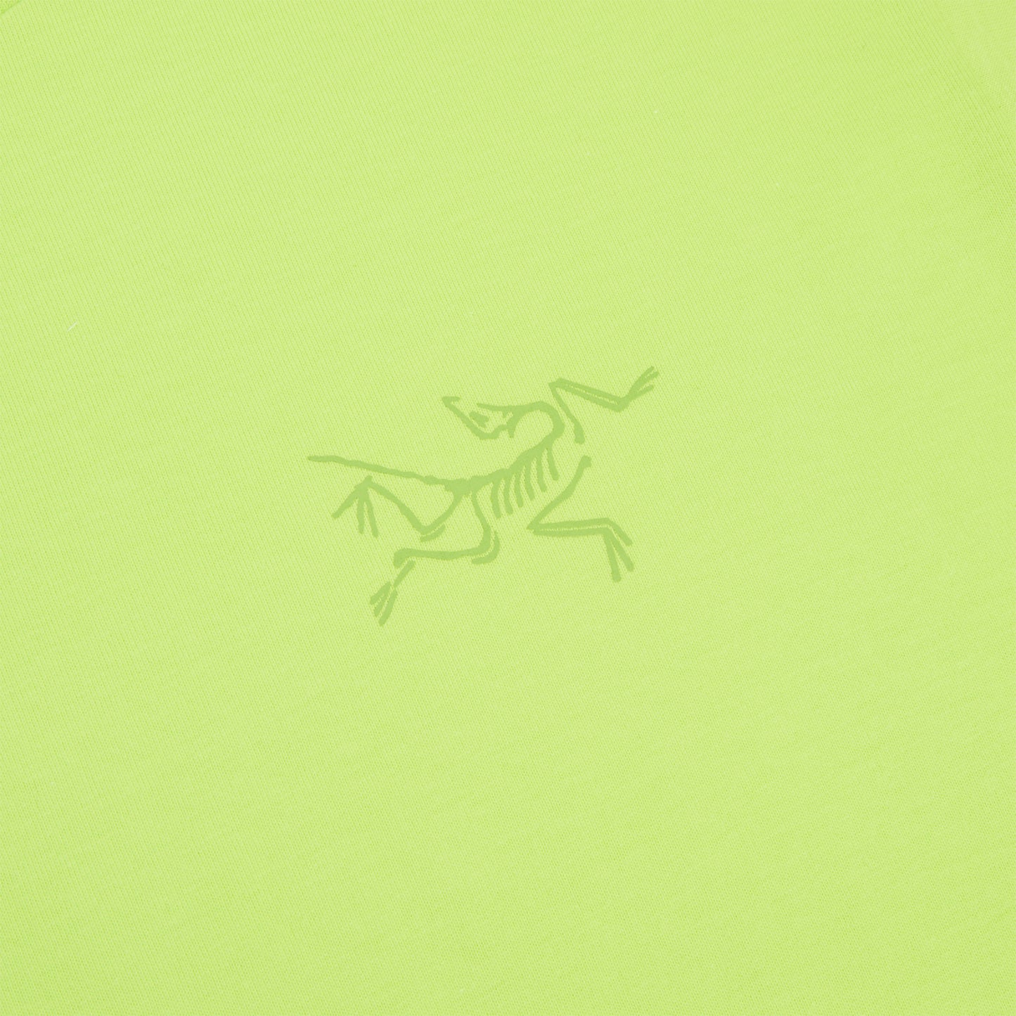Arc'teryx Kragg Cotton LS M (Mantis)