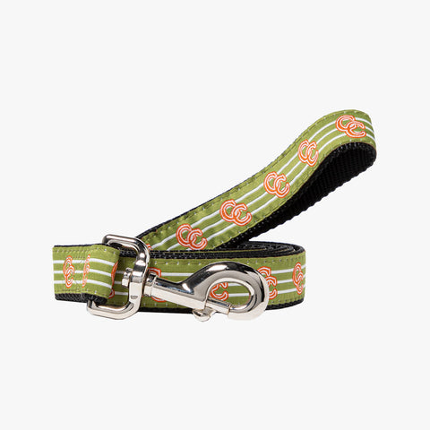 Concepts Clarity Woven Dog Leash (Green)