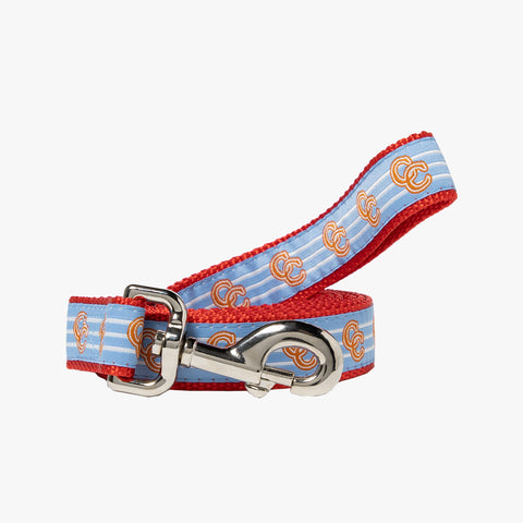 Concepts Clarity Woven Dog Leash (Blue)