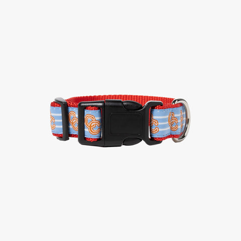 Concepts Clarity Woven Dog Collar (Blue)
