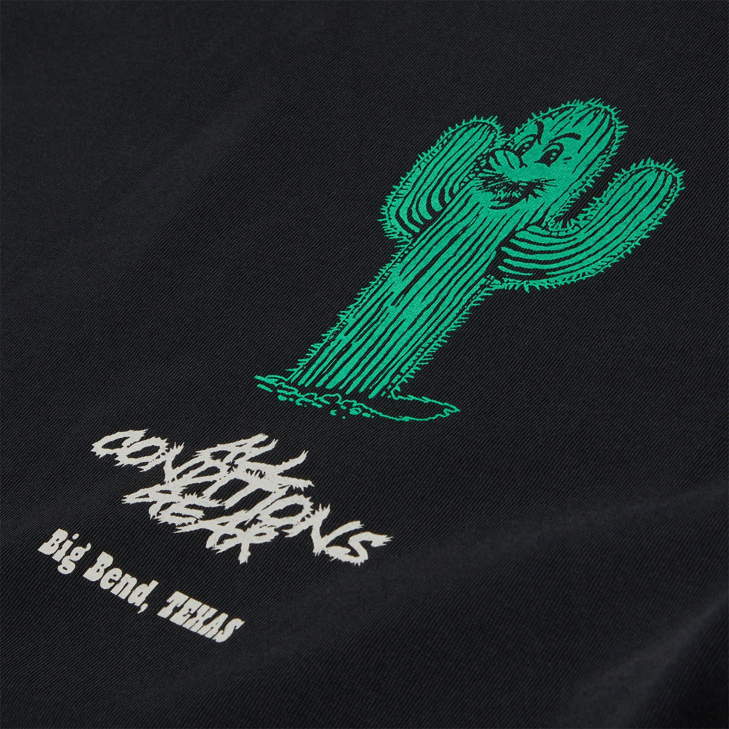 Nike ACG Dri-FIT T-Shirt (Black)