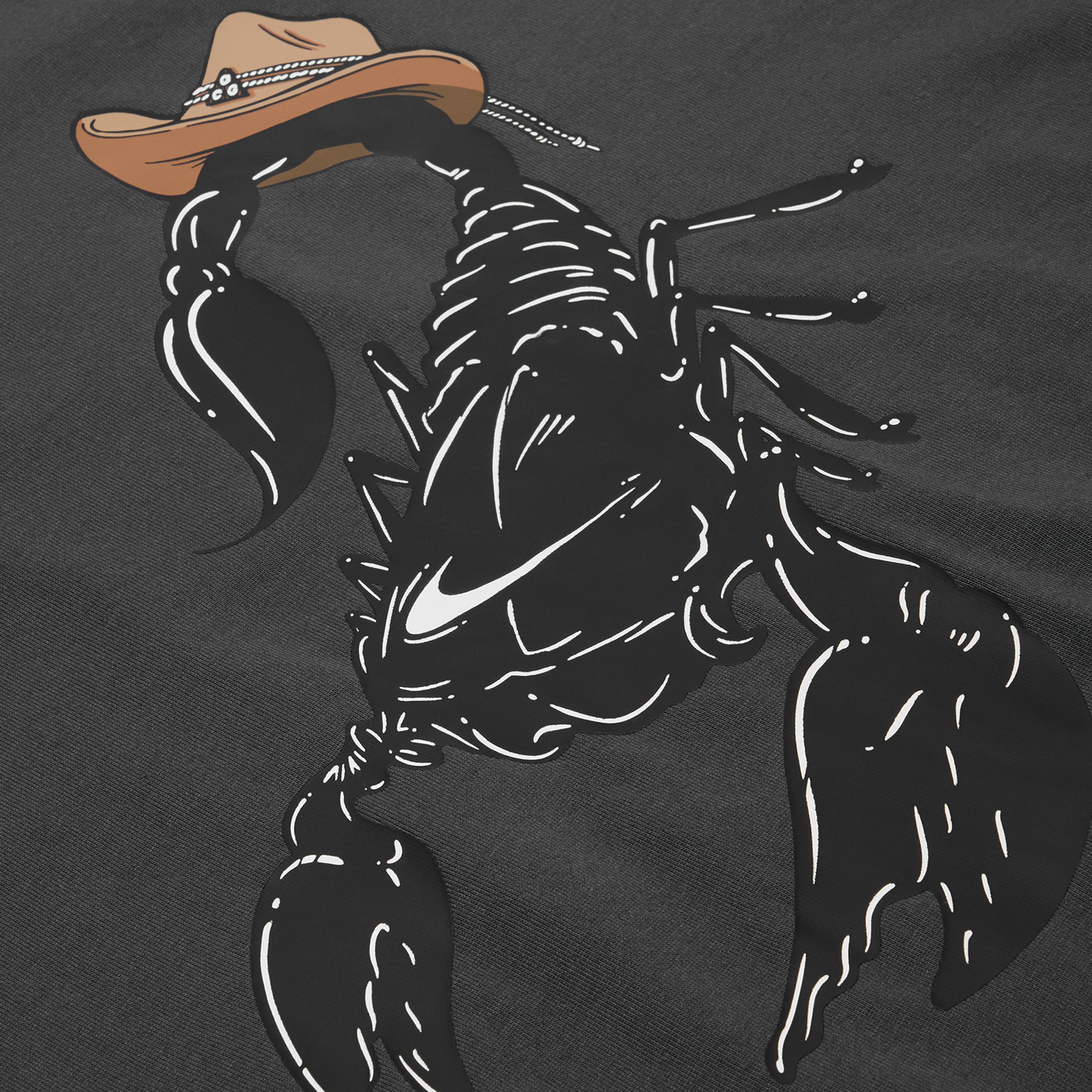 Nike ACG Scorpion Tee (Anthracite)