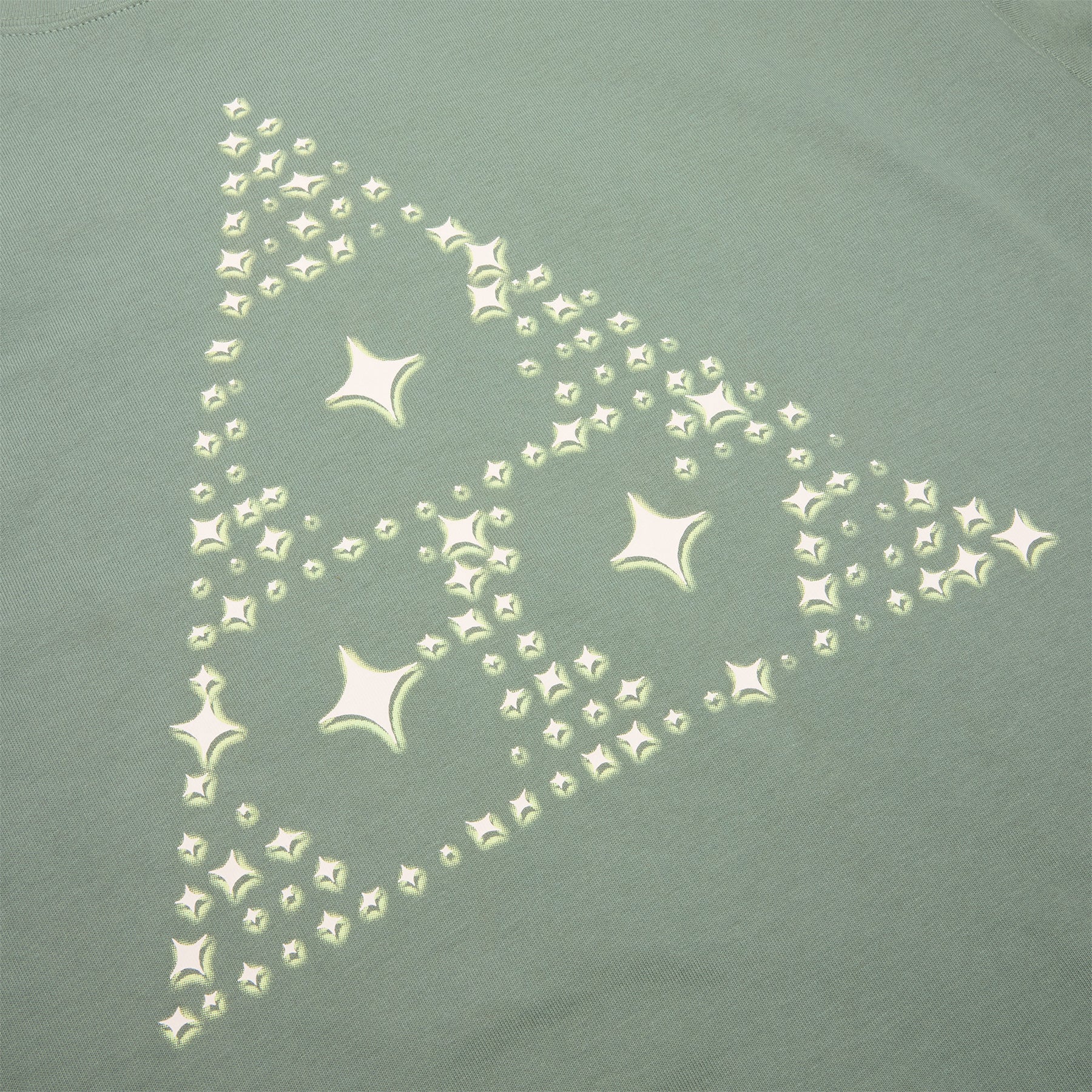 Nike ACG Dark Sky T-Shirt (Clay Green)