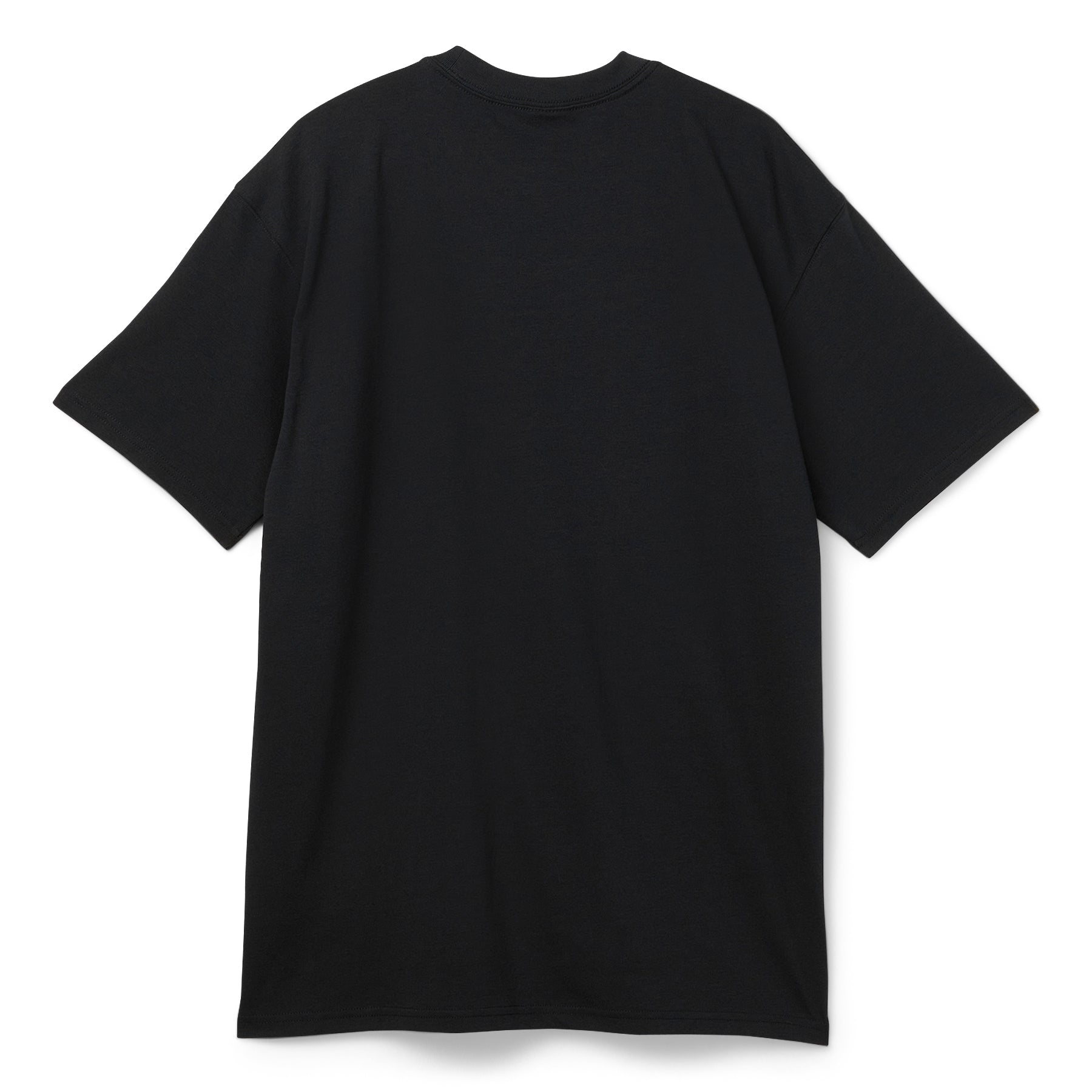 Nike ACG Alien Tee (Black)