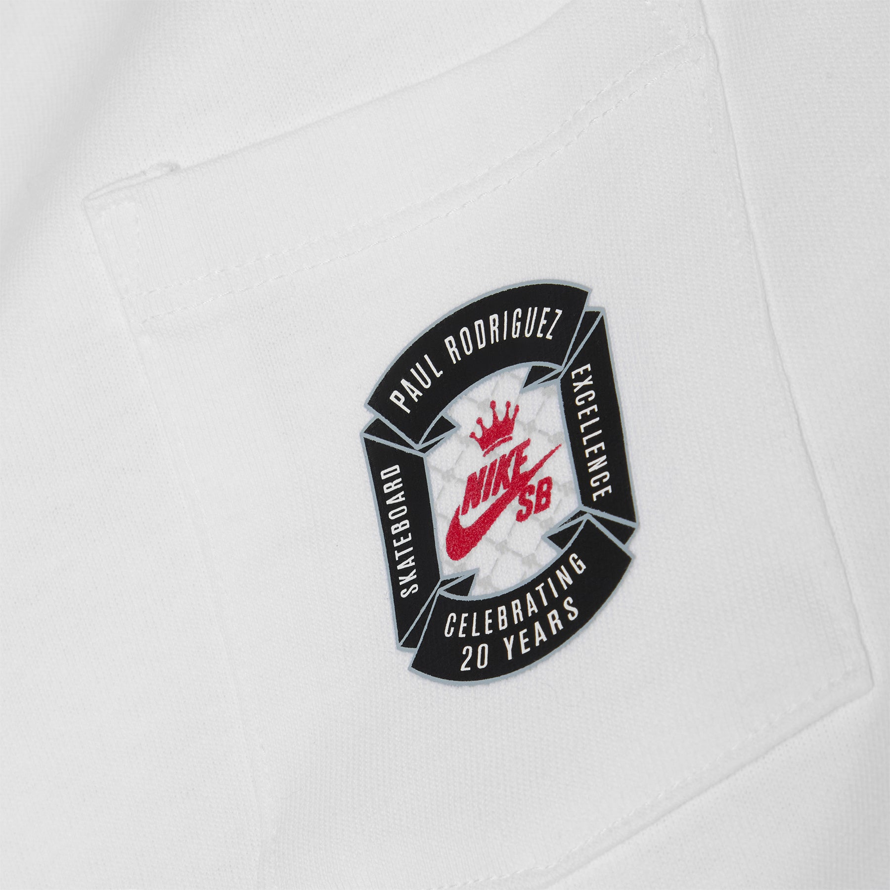 Nike SB Max90 Skate T-Shirt (White)