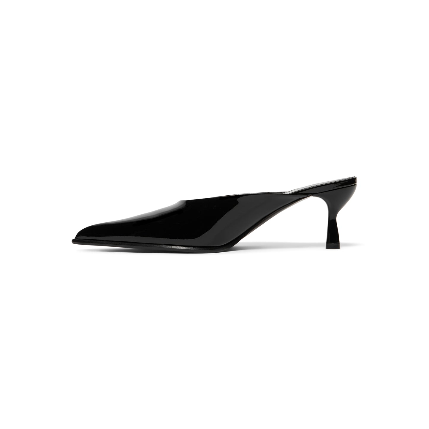 Lanvin Slip-On Pointed Toe Pumps (Black)