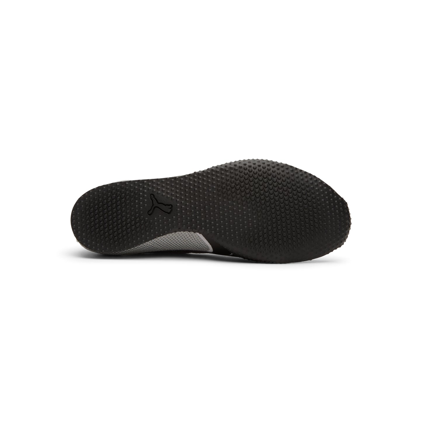 Puma H-Street Chrome  (Gray)