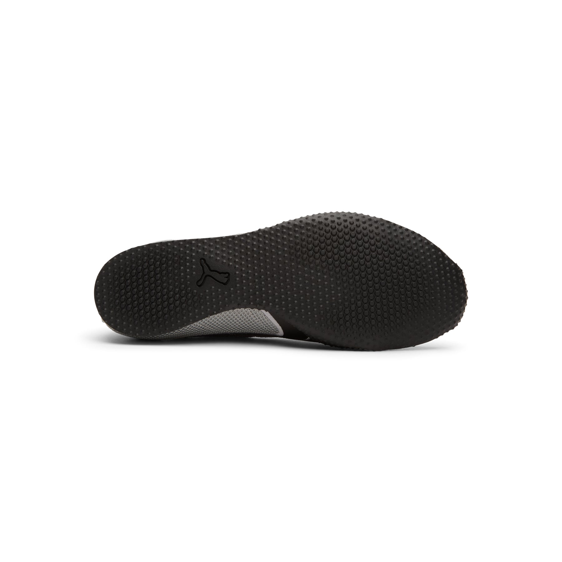 Puma H-Street Chrome  (Gray)