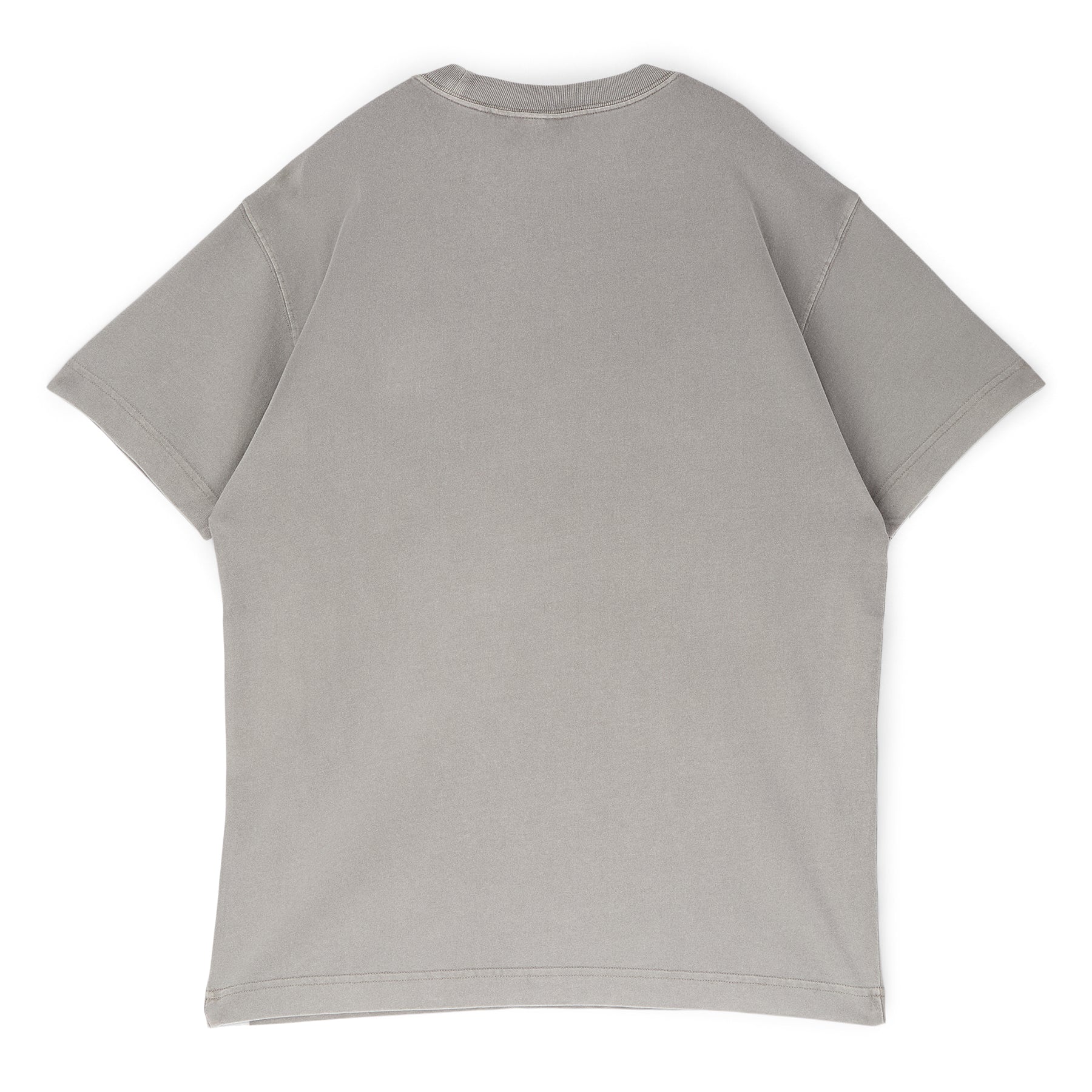 Carhartt WIP S/S Nelson T-Shirt (Yosemite (Garment Dyed))