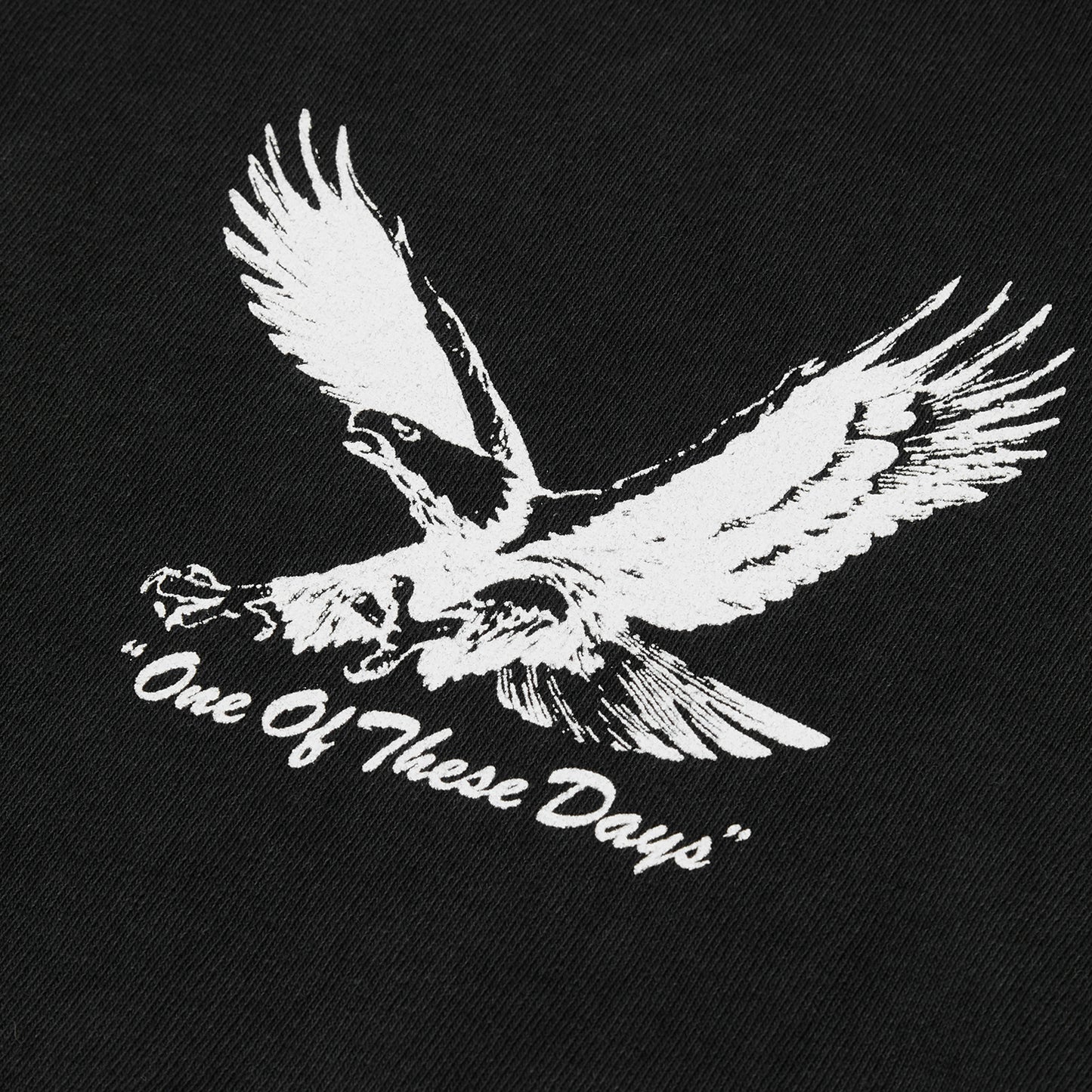 ONE OF THESE DAYS Screaming Eagle Tee (Washed Black)