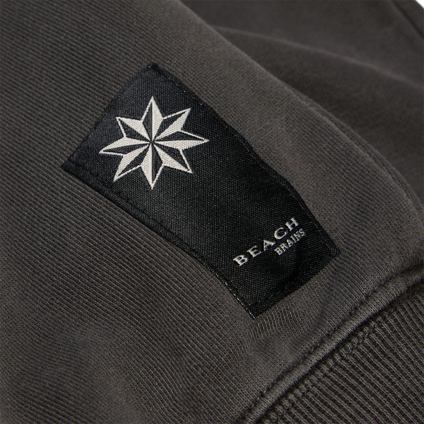 Beach Brains Tour Zip Hoodie (Charcoal)