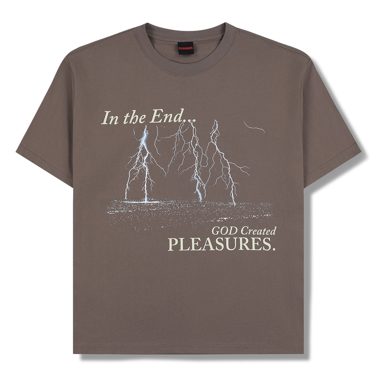 Pleasures End Times T-Shirt (Mocha)