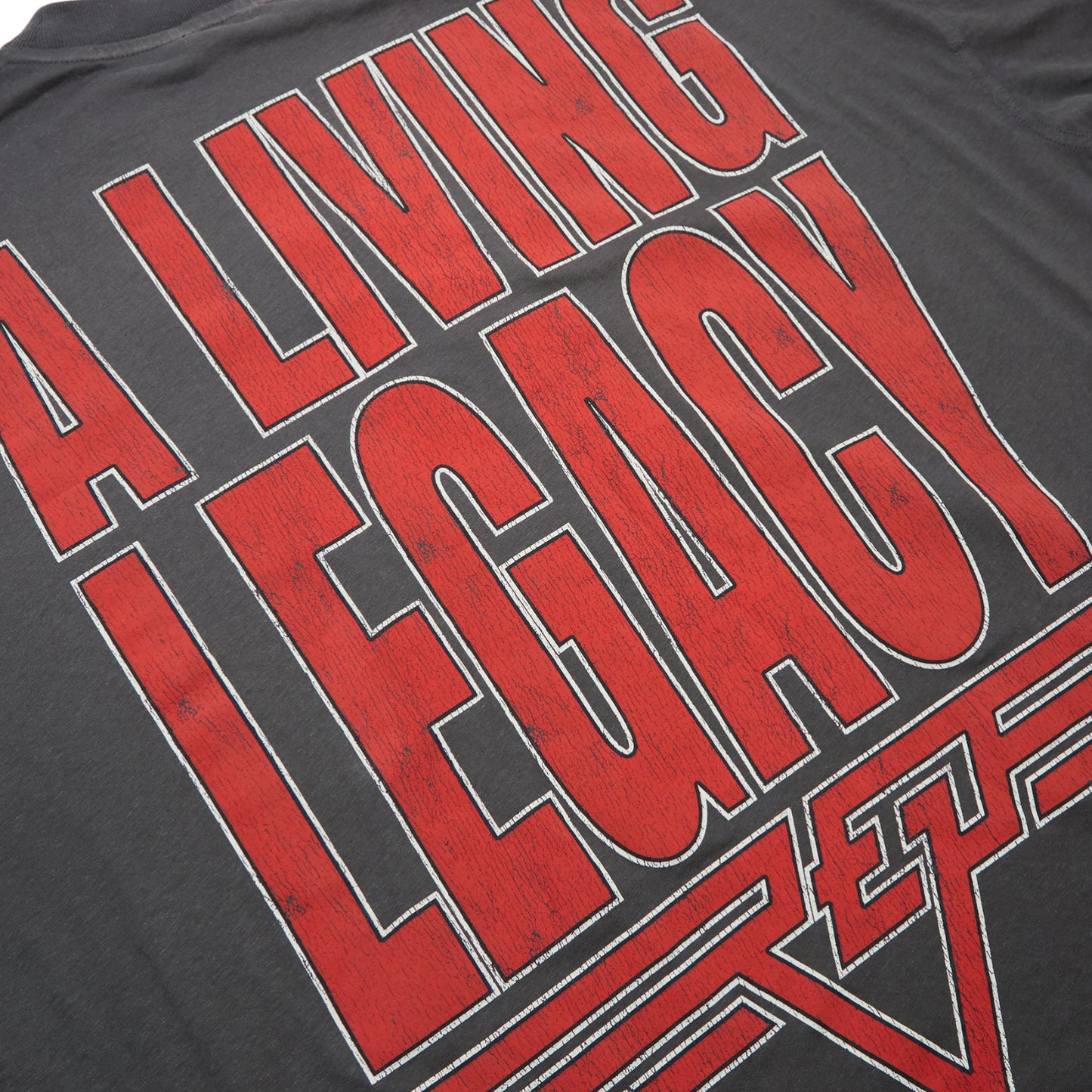 REPRESENT Living Legacy T-Shirt (Sun fade grey)