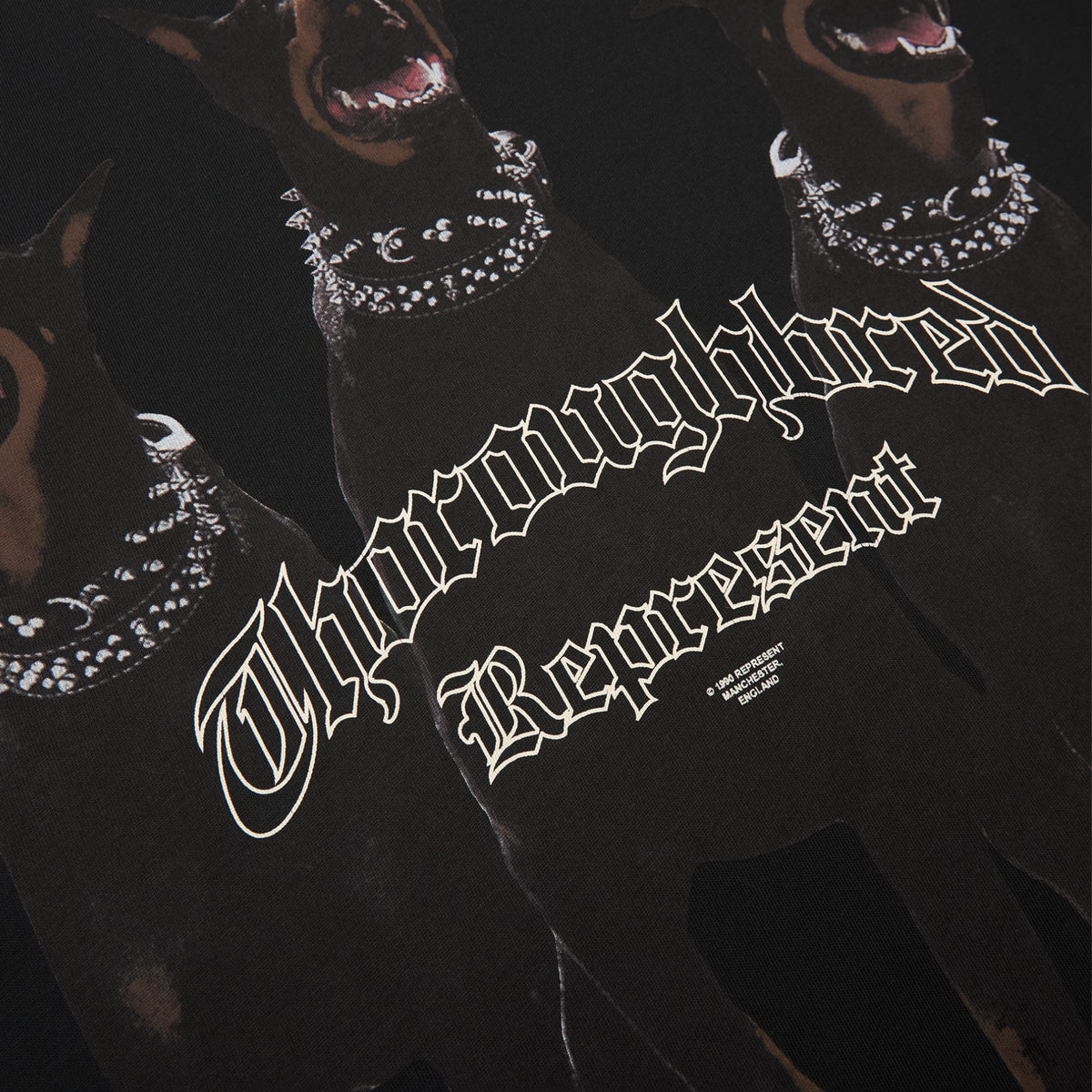 REPRESENT Thoroughbred T-Shirt (Vintage black)