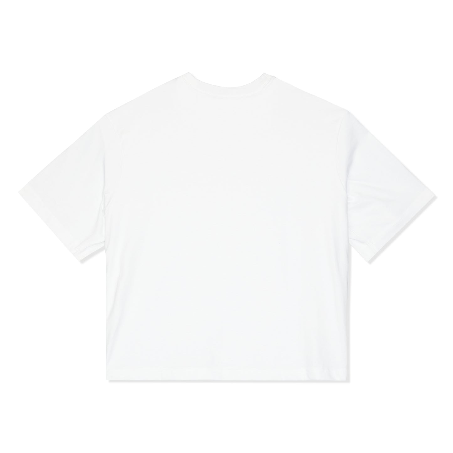 Nike SB T-Shirt (White)