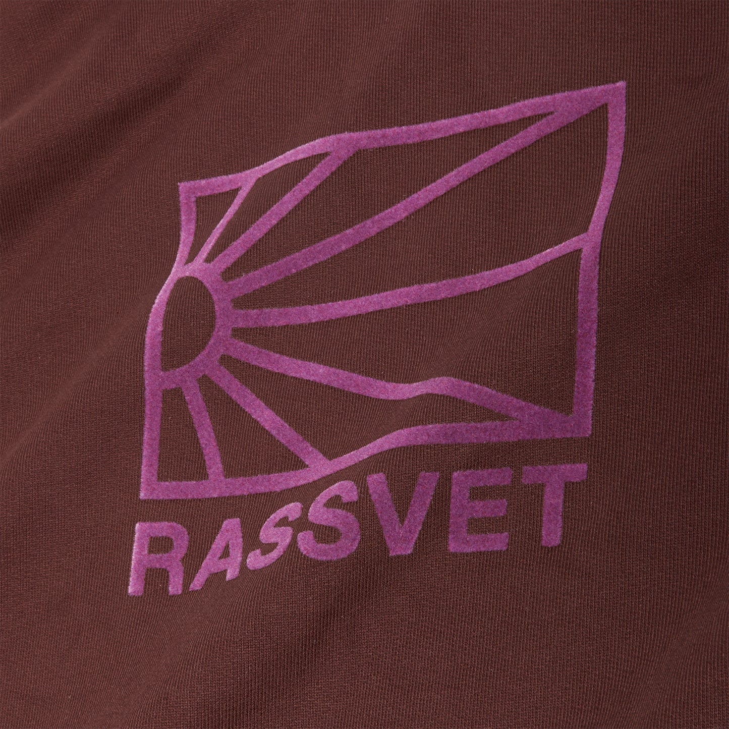 Rassvet Logo Knit Hoodie (Burgundy)