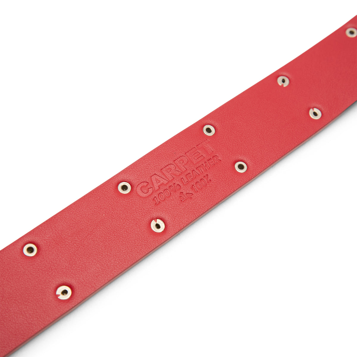 Carpet Company Pony Hair Studded Belt (Pony)