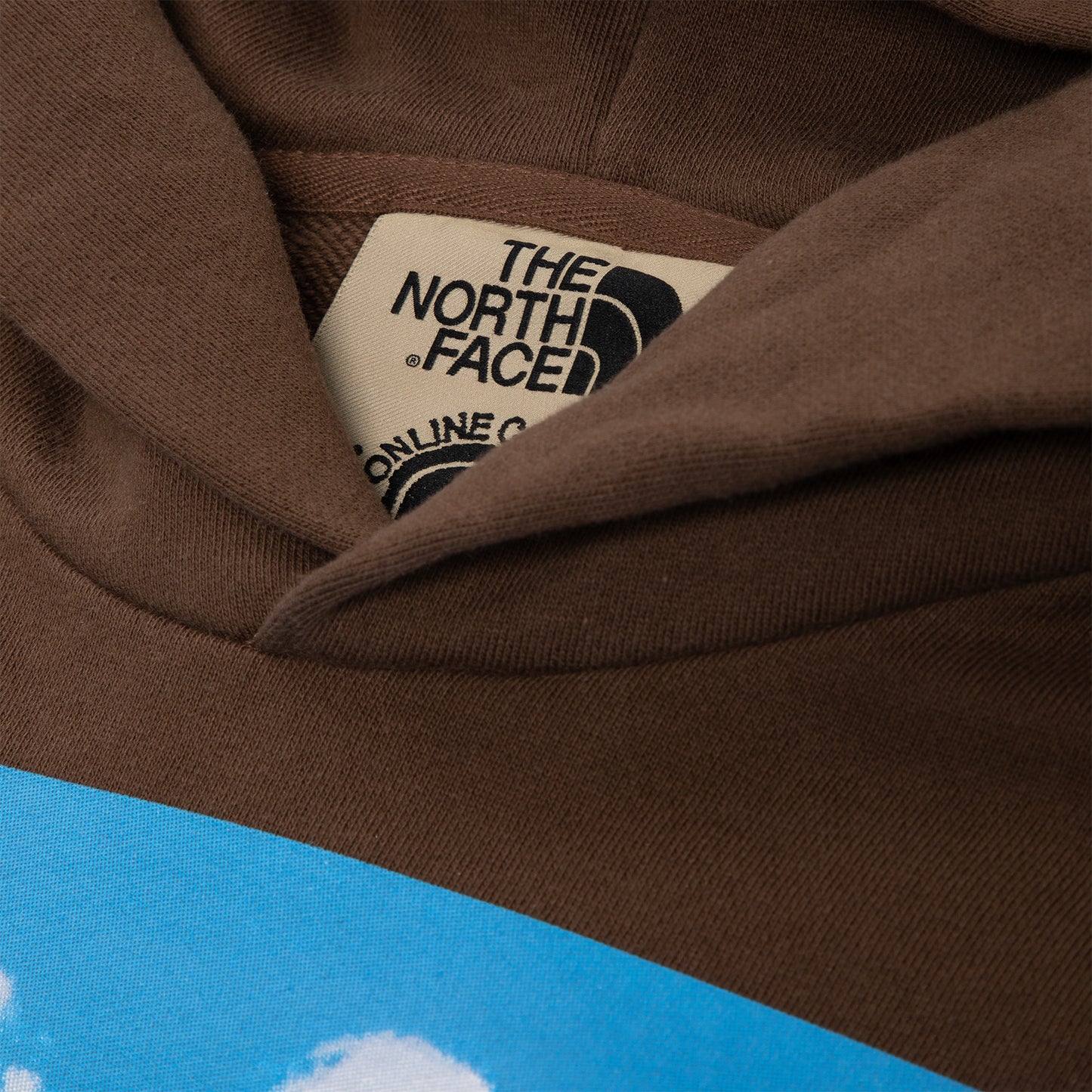 The North Face TNF X OC Pullover Hoodie (Earth Brown)