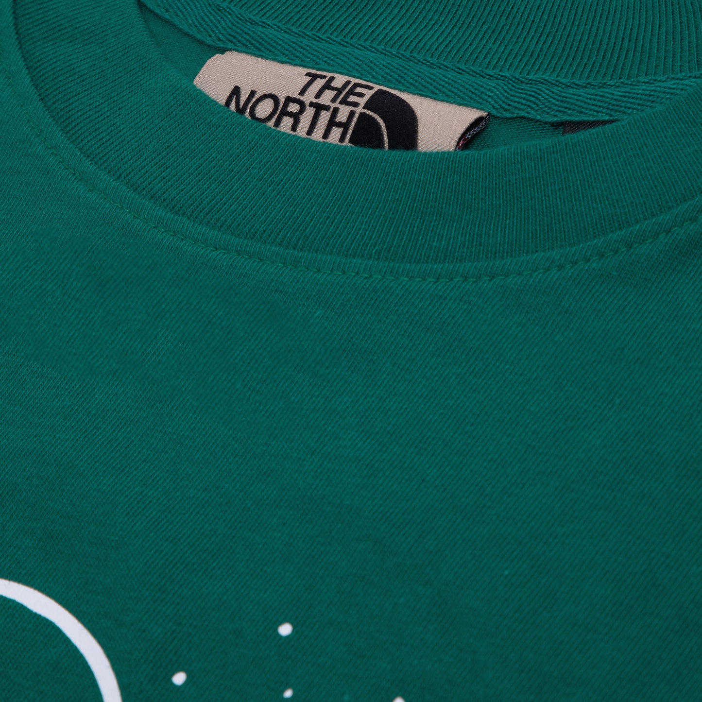 The North Face TNF X OC Short Sleeve T-Shirt (Forest Fern)