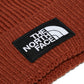 The North Face TNF™ Logo Box Cuffed Beanie (Brandy Brown)
