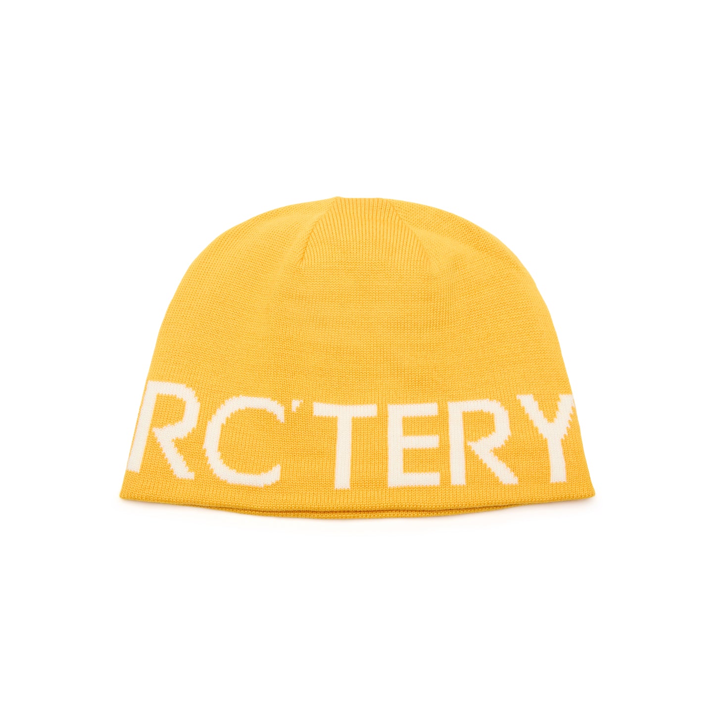 Arc'teryx Word Head Toque (Larch/Arctic Silk)