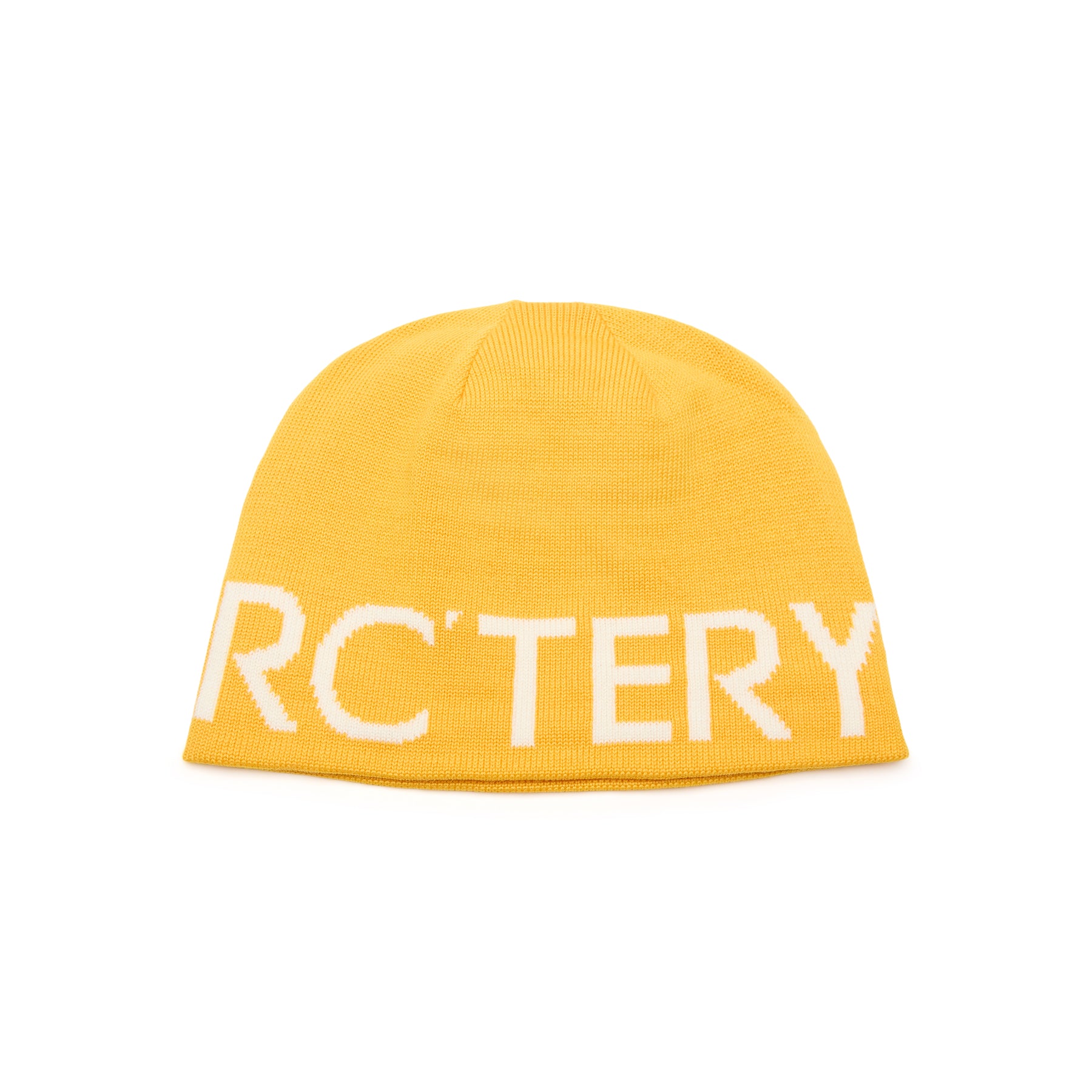 Arc'teryx Word Head Toque (Larch/Arctic Silk)
