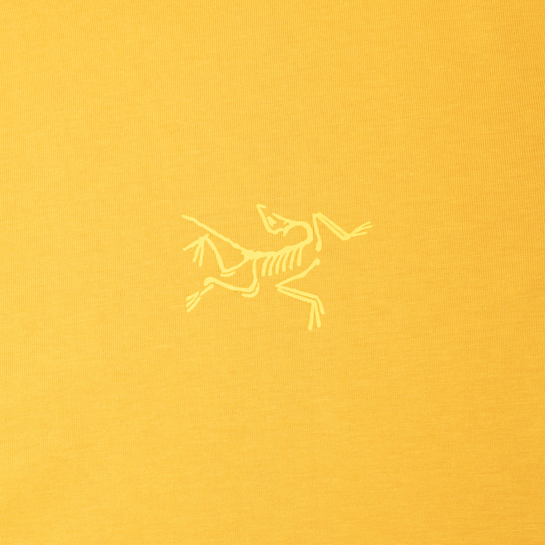 Arc'teryx Kragg SL Cotton LS M (Larch)
