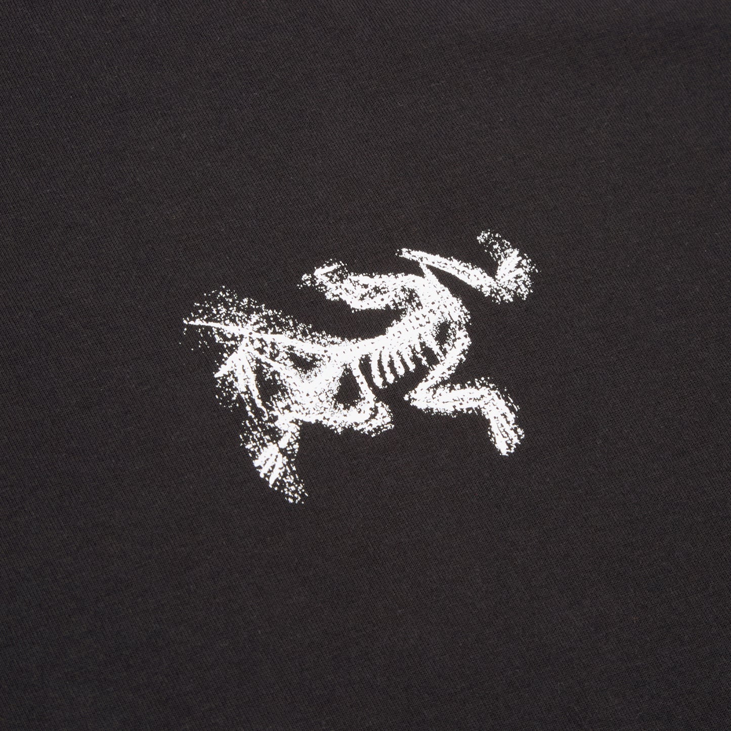 Arc'teryx Kragg SL Cotton Bird Tile LS M (Black / Arctic Silk)