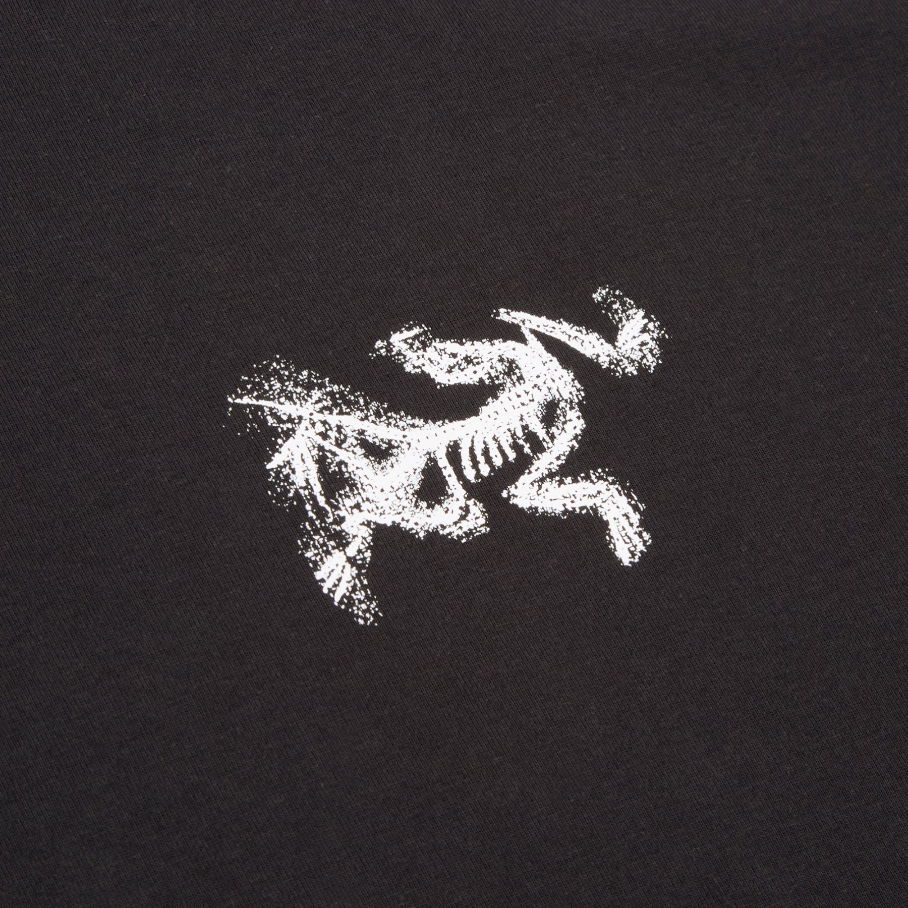 Arc'teryx Kragg SL Cotton Bird Tile LS M (Black / Arctic Silk)