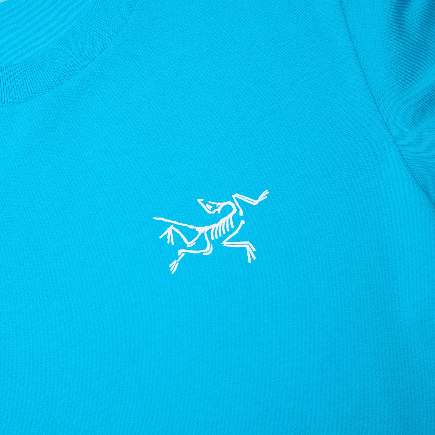 Arc'teryx Kragg Cotton LS M (Aquaculture)