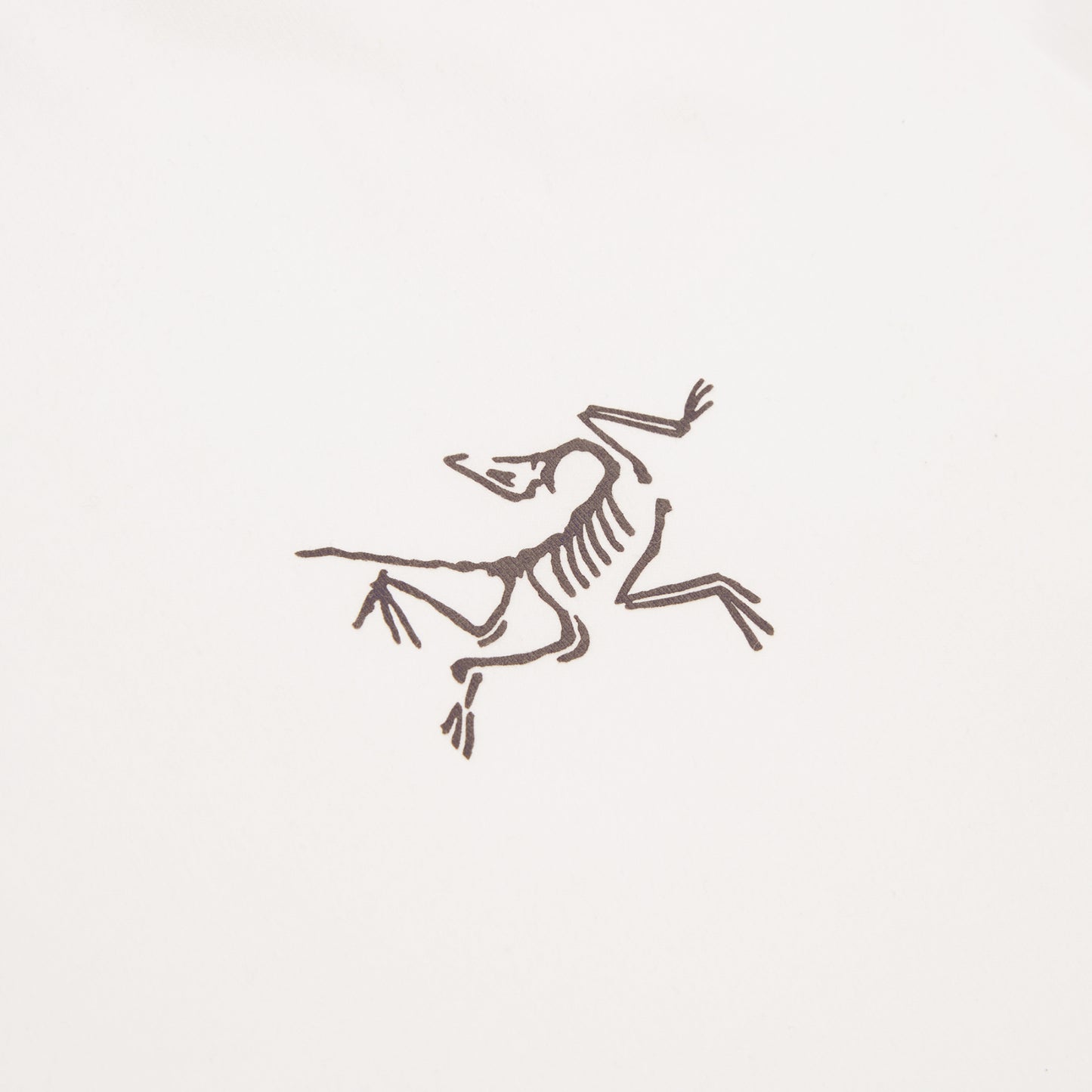 Arc'teryx Kragg Cotton LS M (White Light / Black)