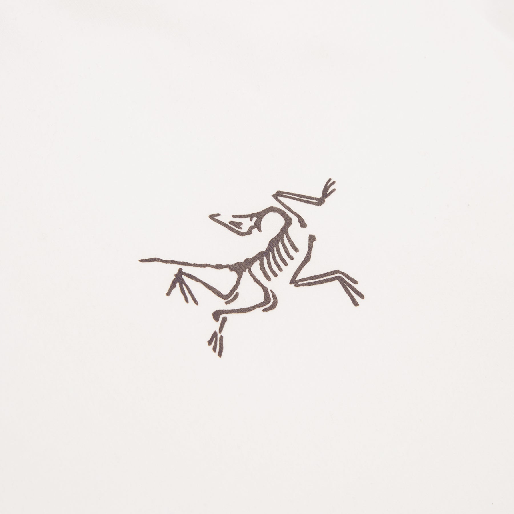 Arc'teryx Kragg Cotton LS M (White Light / Black)