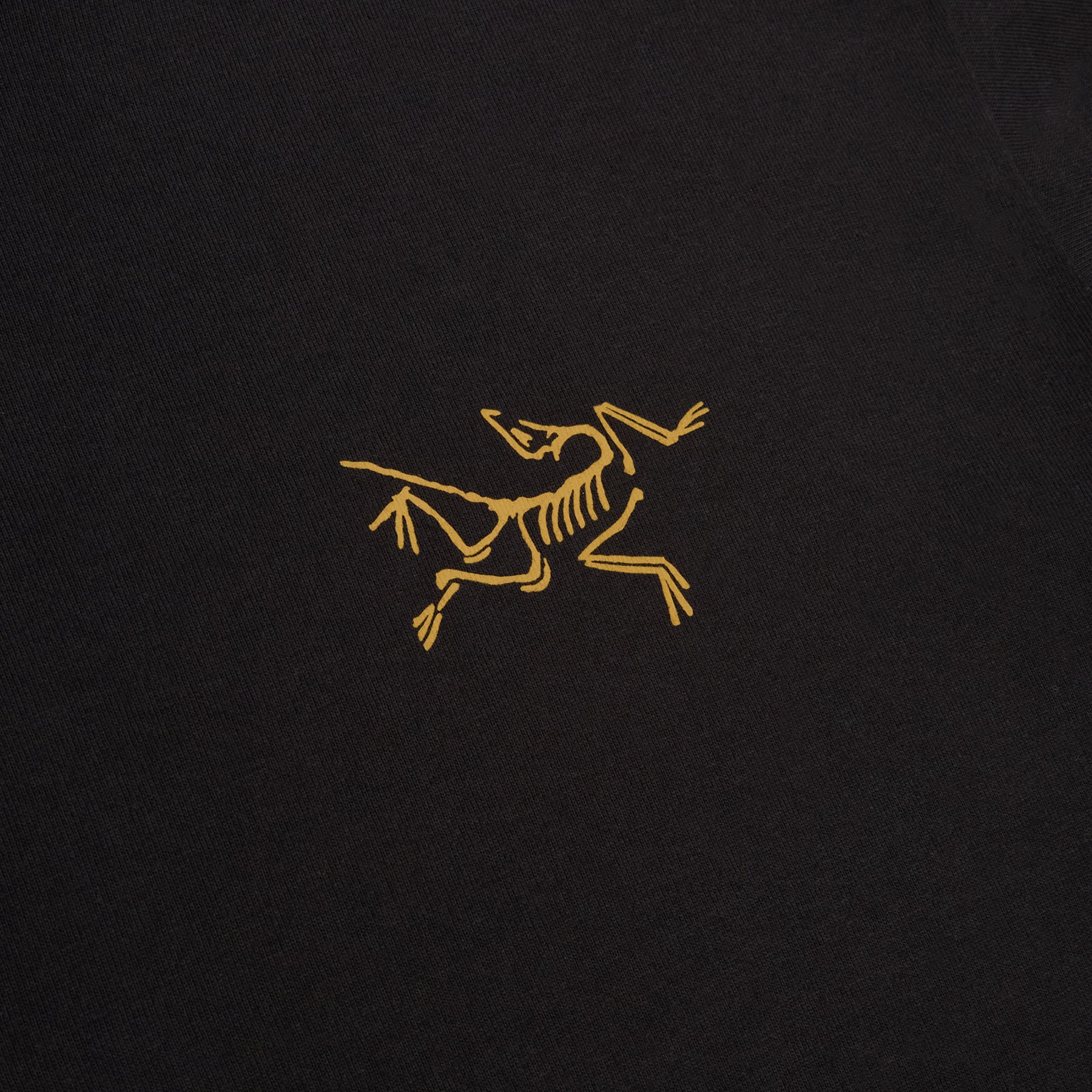 Arc'teryx Kragg Cotton LS M (24K Black) – CNCPTS