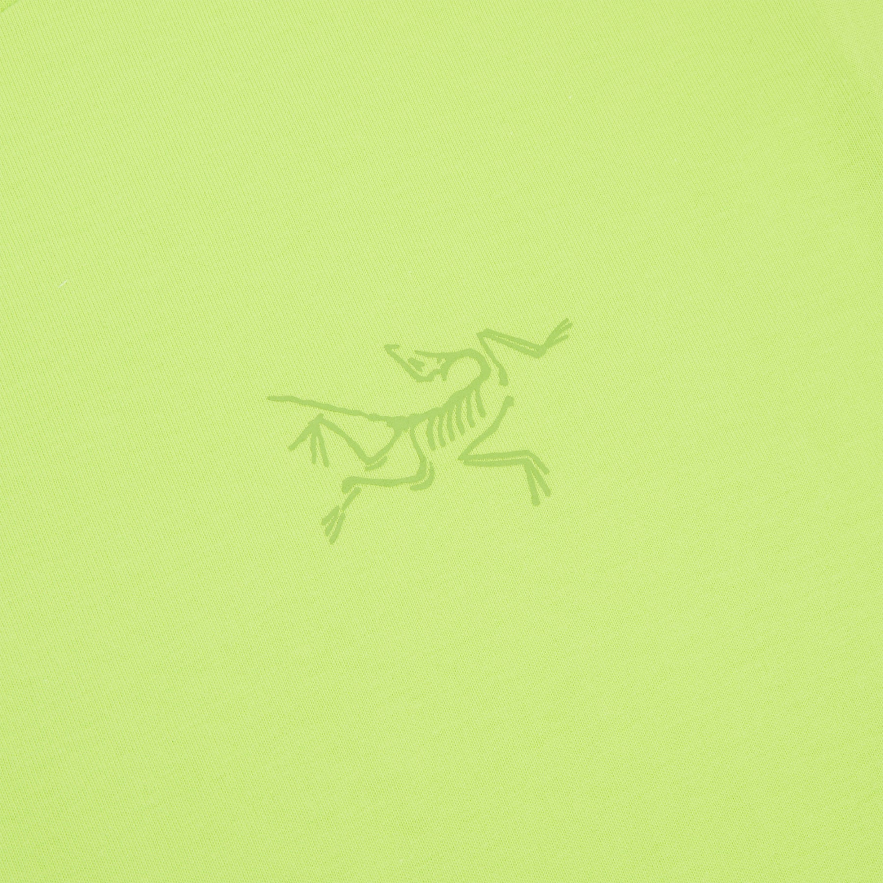 Arc'teryx Kragg Cotton LS M (Mantis)