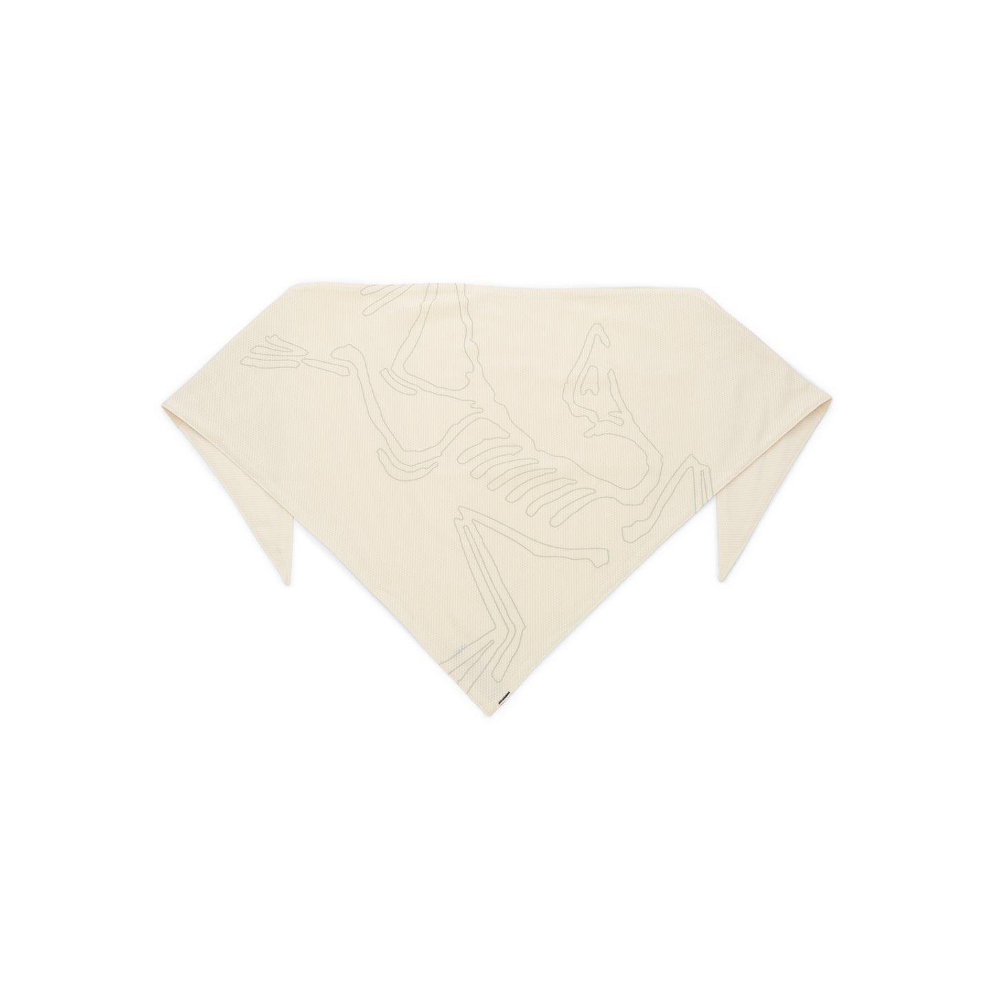 Arc'teryx Sinsolo Bandana (Sea Salt)