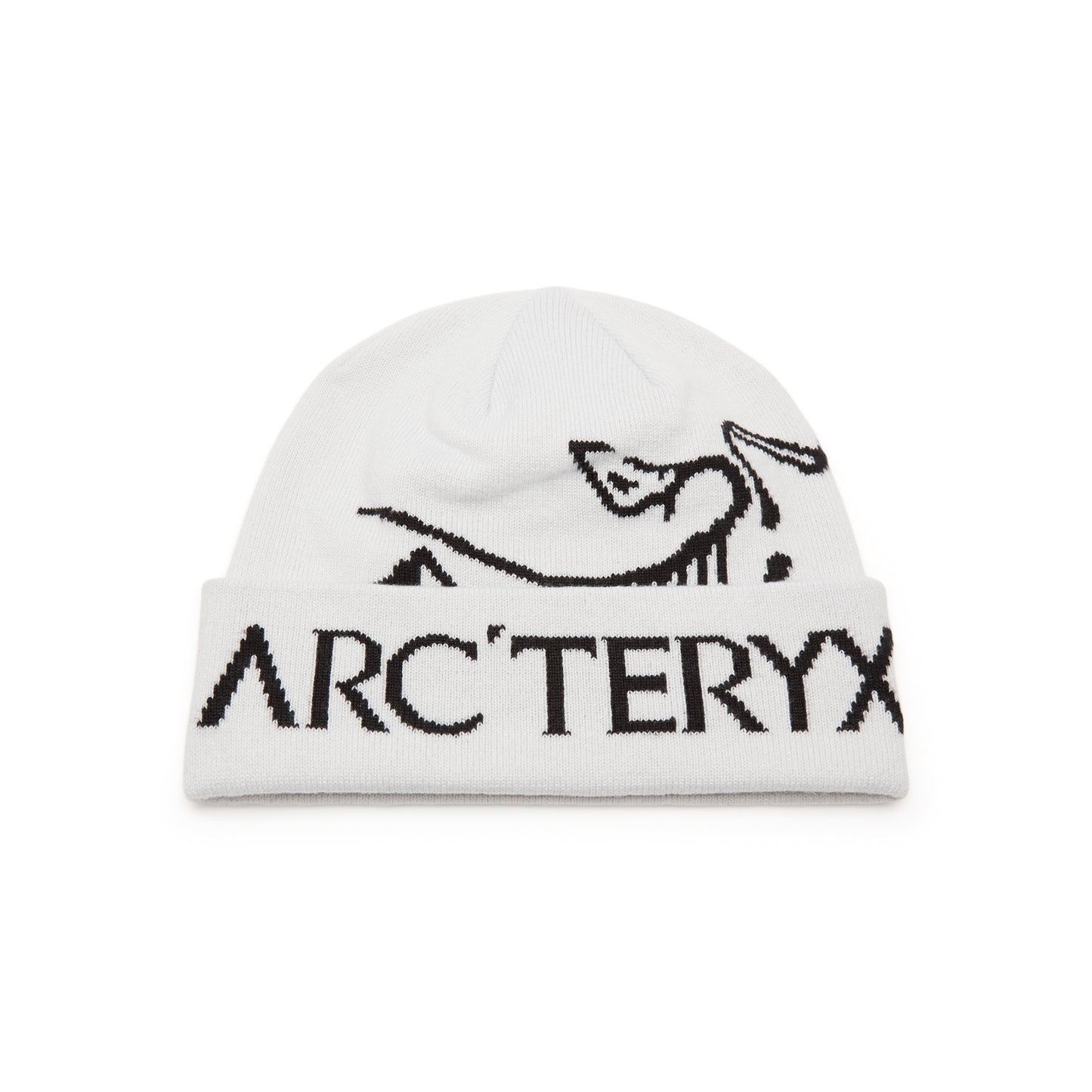 Arc'teryx Bird Word Toque (Orca)