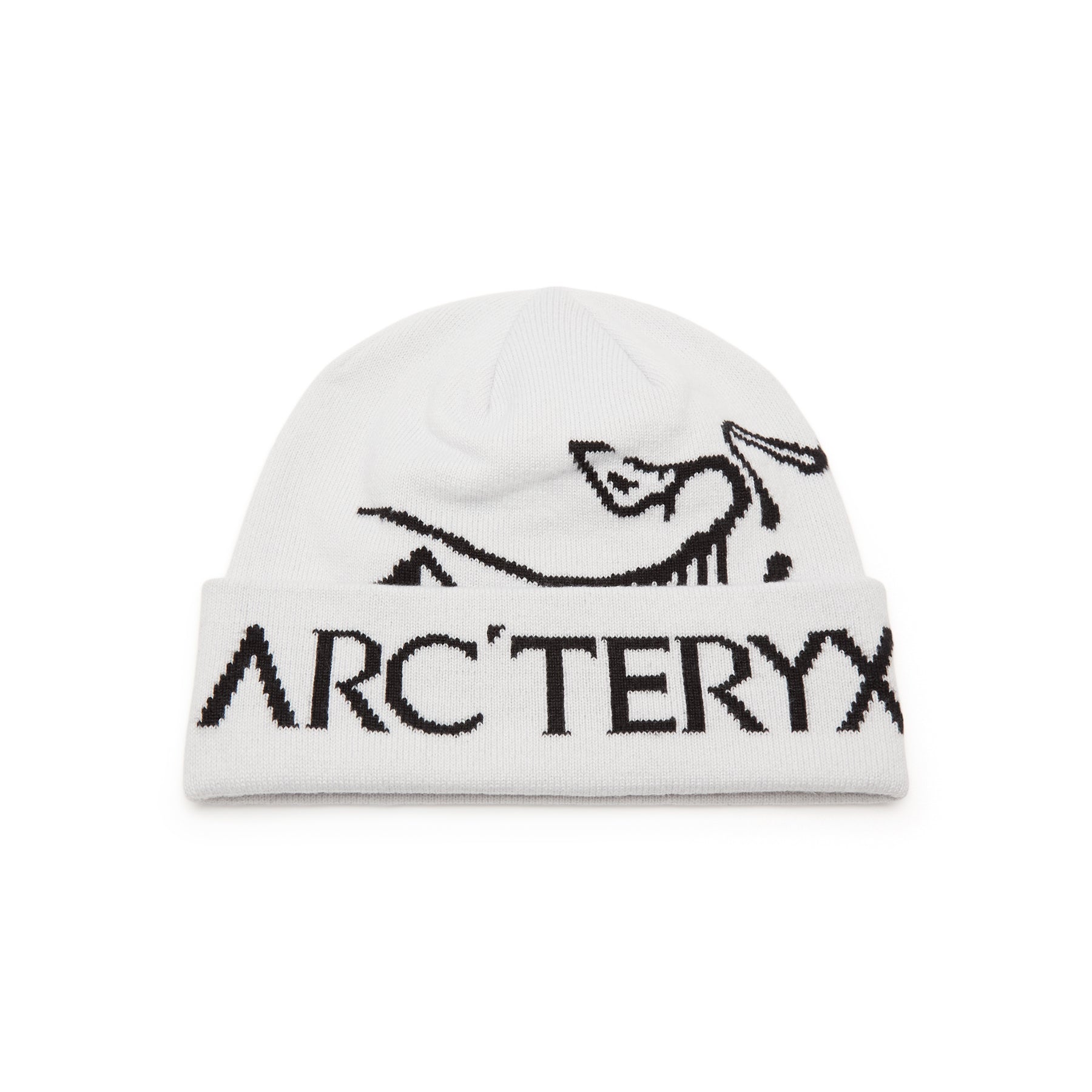 Arc'teryx Bird Word Toque (Orca)