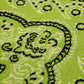 Concepts x Norseen Seabrook Paisley 4x4 Bandana Rug (Lime Green)