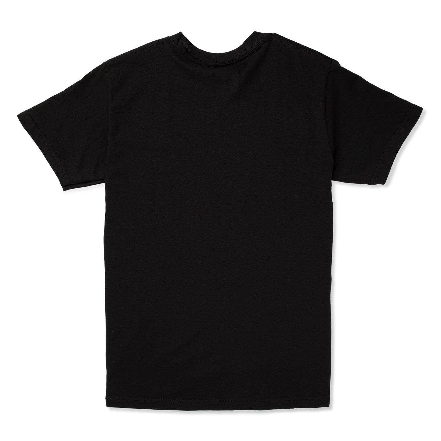 Pleasures Educated T-Shirt (Black)